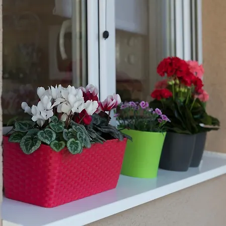 Room&studio Just Enjoy Split